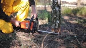 Lawn Grading and Leveling in Oyster Creek, TX